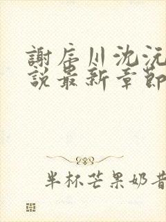 谢序川沈沅珠小说最新章节免费阅读