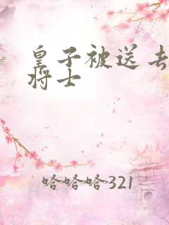 皇子被送去犒劳将士