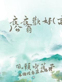 夜夜欢好(高h)公翁