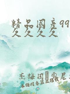 精品国产99久久久久久