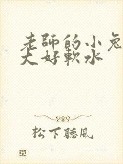 老师的小兔子好大好软水