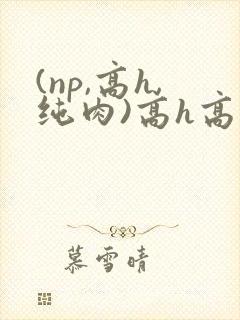 (np,高h,纯肉)高h高辣视频