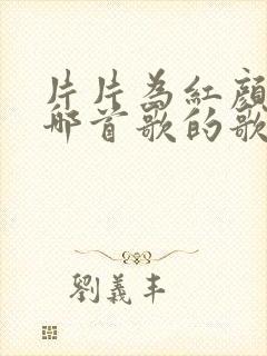 片片为红颜出自哪首歌的歌词