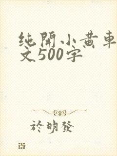 纯开小黄车小短文500字