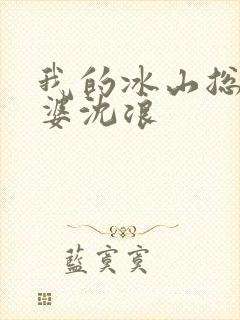 我的冰山总裁老婆沈浪