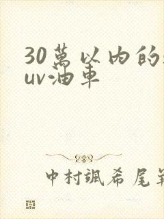 30万以内的suv油车