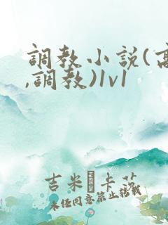 调教小说(高h,调教)1v1