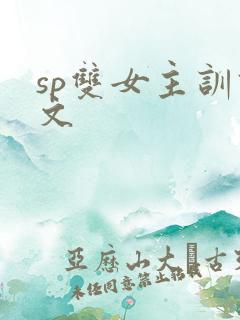 sp双女主训诫文