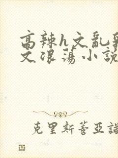 高辣h文乱乳h文浪荡小说