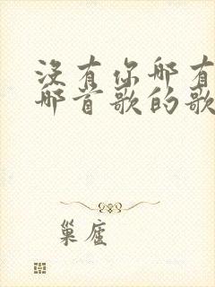 没有你哪有家是哪首歌的歌词