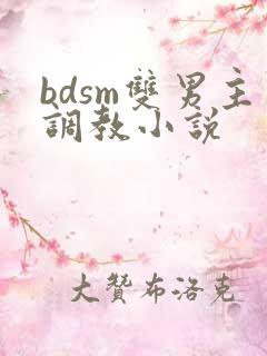bdsm双男主调教小说