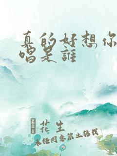 真的好想你的原唱是谁