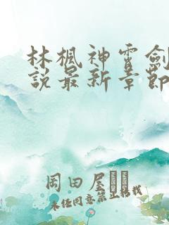 林枫神霄剑修小说最新章节