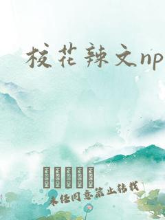 校花辣文np