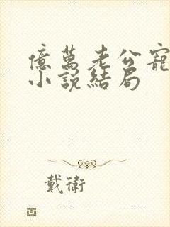 亿万老公宠上天小说结局