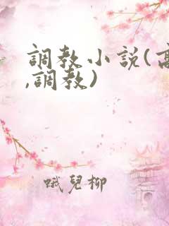 调教小说(高h,调教)