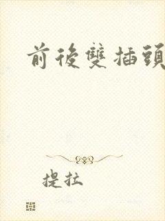 前后双插头互攻