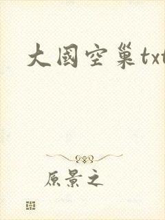 大国空巢txt