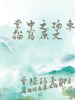 掌中之物车里震描写原文