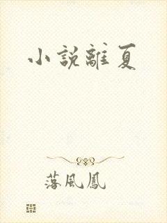 小说离夏
