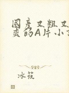 国产又粗又黄又爽的A片小说