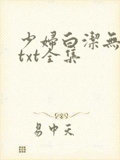少妇白洁无删减txt全集