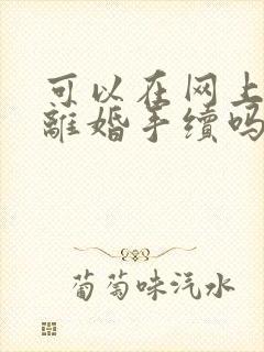 可以在网上办理离婚手续吗