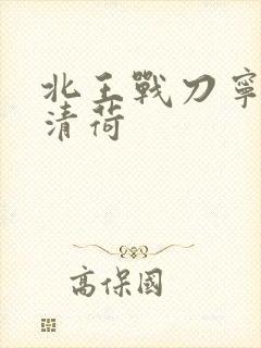 北王战刀宁北苏清荷