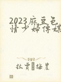 2023麻豆色情少妇传媒