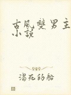 古风双男主生子小说