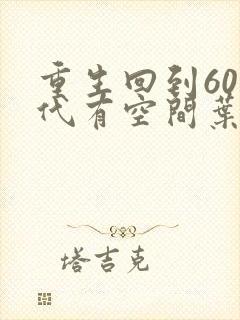 重生回到60年代有空间叶昊