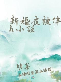 新婚夜被伴郎强h小说