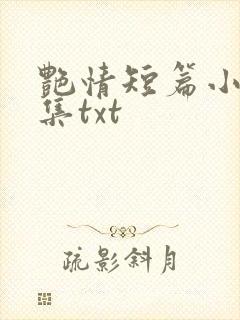 艳情短篇小说合集txt