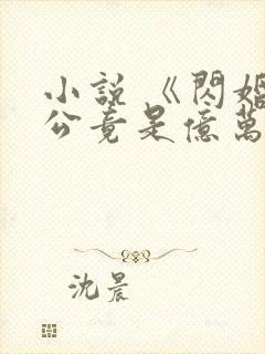 小说 《闪婚老公竟是亿万总裁》