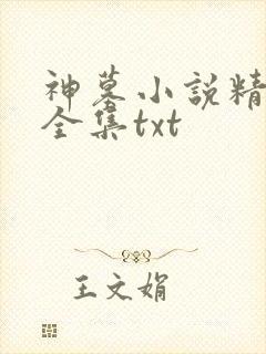神墓小说精校版全集txt