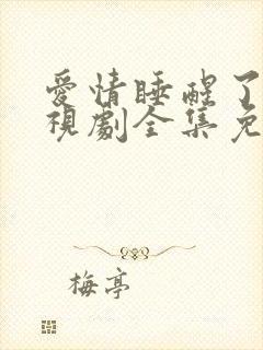 爱情睡醒了 电视剧全集免费