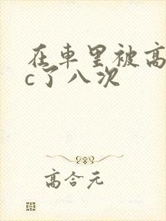 在车里被高潮被c了八次