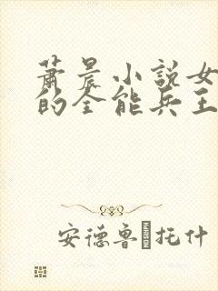 萧晨小说女总裁的全能兵王