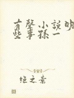 有声小说明朝那些事孙一