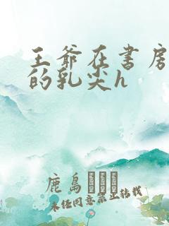 王爷在书房含她的乳尖h