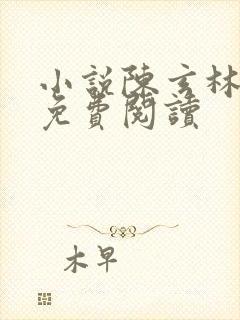 小说陈玄林素衣免费阅读