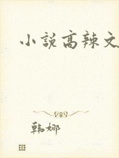 小说高辣文np