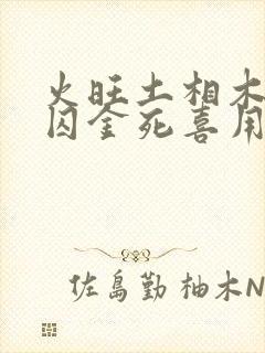 火旺土相木休水囚金死喜用神