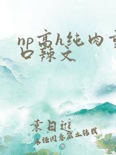 np高h纯肉重口辣文