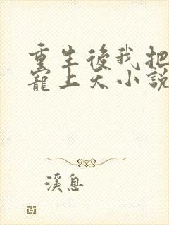 重生后我把前夫宠上天小说