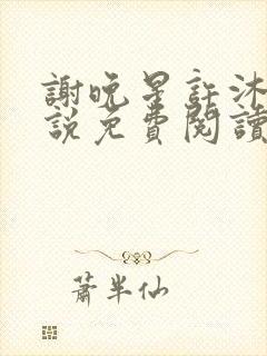 谢晚星许沐尧小说免费阅读最新章节