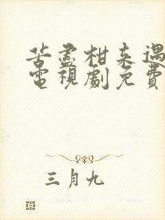 苦尽柑来遇见你电视剧免费观看全集高清国语