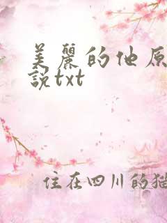 美丽的他原著小说txt