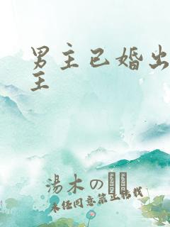 男主已婚出轨女主