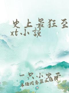 史上最狂至尊txt小说